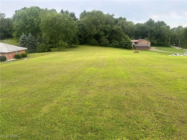 49292 Cartwright Ave, East Liverpool, OH 43920 - photo 5