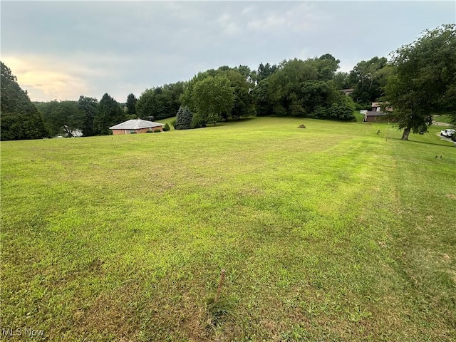 49292 Cartwright Ave, East Liverpool, OH 43920 - photo 6
