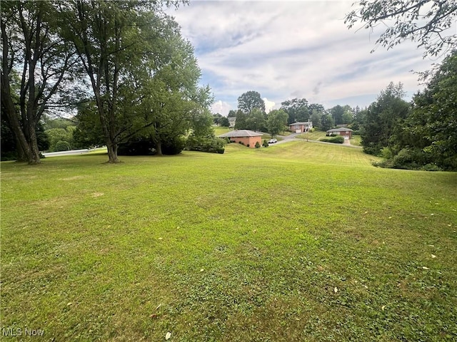 49292 Cartwright Ave, East Liverpool, OH 43920 - photo 8