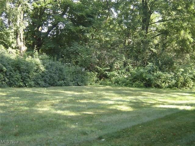 1275 NW Janet Ave, North Canton, OH 44720 - view of green lawn