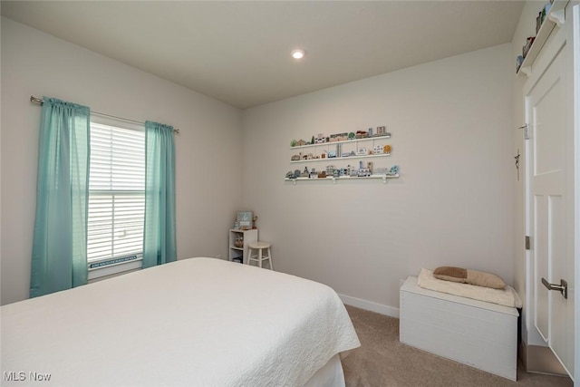 34674 N Legends Way, Grafton, OH 44044 - bedroom featuring carpet flooring and recessed lighting