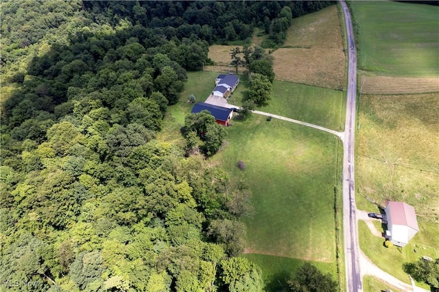 1292 Cinder Rd SE, Bergholz, OH 43908 - view of property location featuring rural landscape and a forest