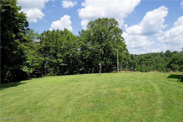 1292 Cinder Rd SE, Bergholz, OH 43908 - view of green lawn with a view of trees