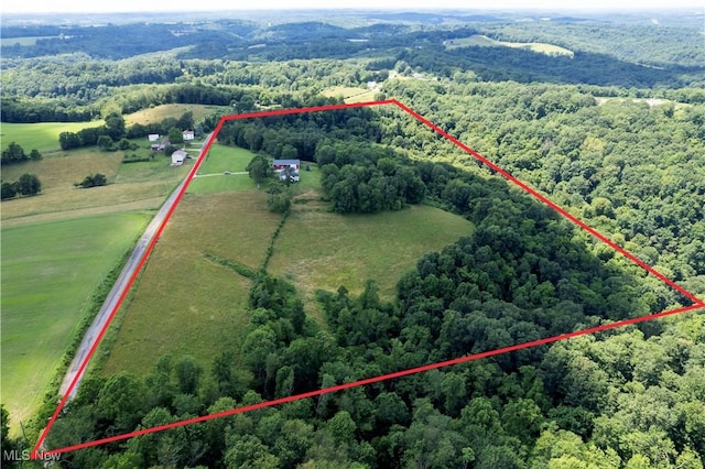 1292 Cinder Rd SE, Bergholz, OH 43908 - view of rural area with a forest and property parcel outlined