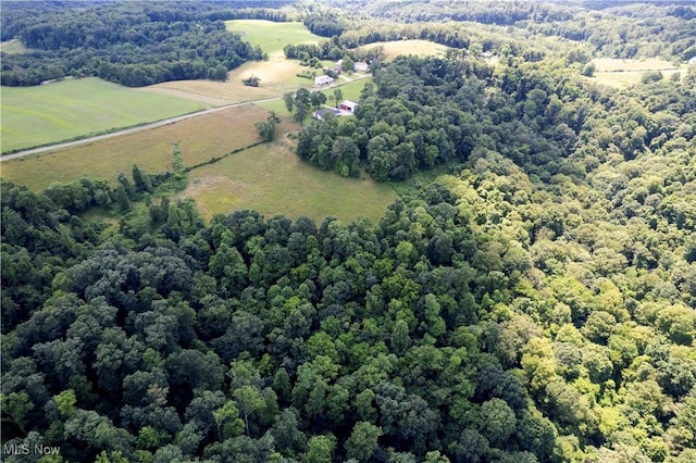 1292 Cinder Rd SE, Bergholz, OH 43908 - aerial view of sparsely populated area featuring a forest