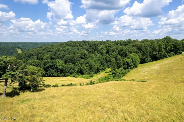 1292 Cinder Rd SE, Bergholz, OH 43908 - view of wooded area