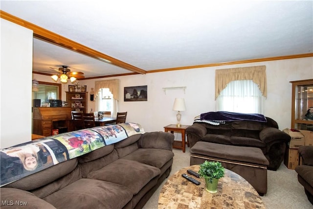 1292 Cinder Rd SE, Bergholz, OH 43908 - carpeted living room featuring crown molding and ceiling fan