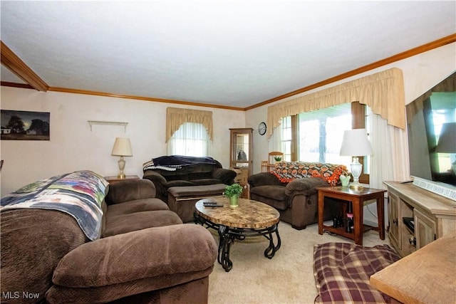 1292 Cinder Rd SE, Bergholz, OH 43908 - living area with healthy amount of natural light, carpet, and crown molding