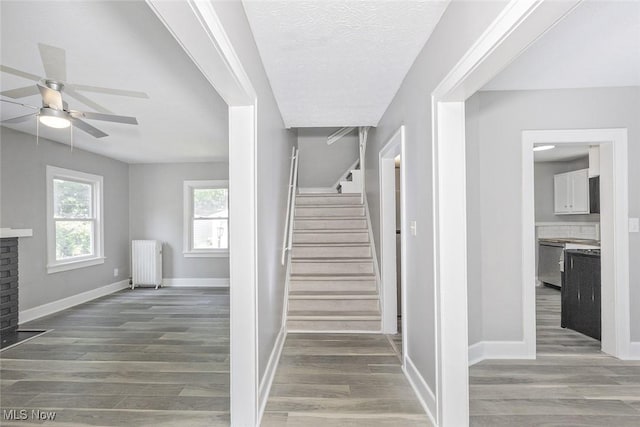 3181 Sycamore Rd, Cleveland Heights, OH 44118 - photo 2