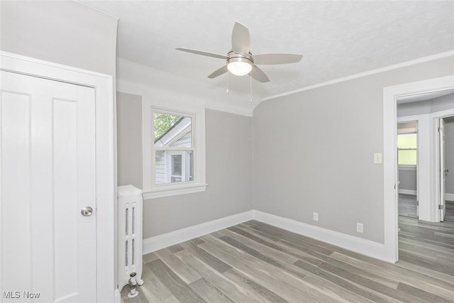 3181 Sycamore Rd, Cleveland Heights, OH 44118 - photo 27