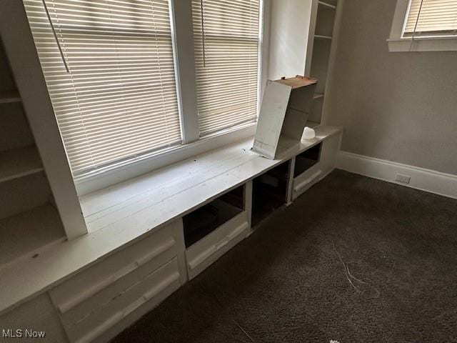 499 E 124th St, Cleveland, OH 44108 - mudroom featuring dark colored carpet and baseboards