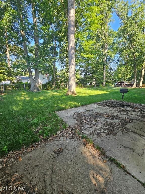 4590 Brendan Ln, North Olmsted, OH 44070 - view of green lawn