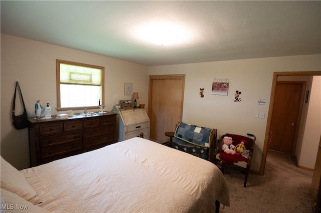 1074 S Meridian Rd, Austintown, OH 44509 - bedroom featuring carpet flooring