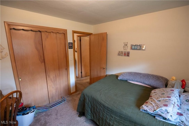 1074 S Meridian Rd, Austintown, OH 44509 - carpeted bedroom featuring a closet