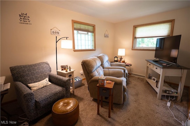 1074 S Meridian Rd, Austintown, OH 44509 - sitting room with carpet