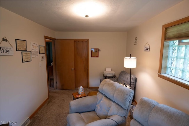 1074 S Meridian Rd, Austintown, OH 44509 - living room featuring carpet and baseboards
