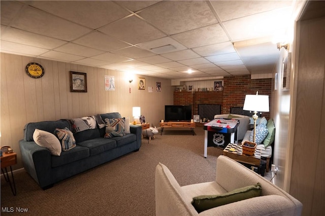 1074 S Meridian Rd, Austintown, OH 44509 - living area featuring carpet floors and a paneled ceiling