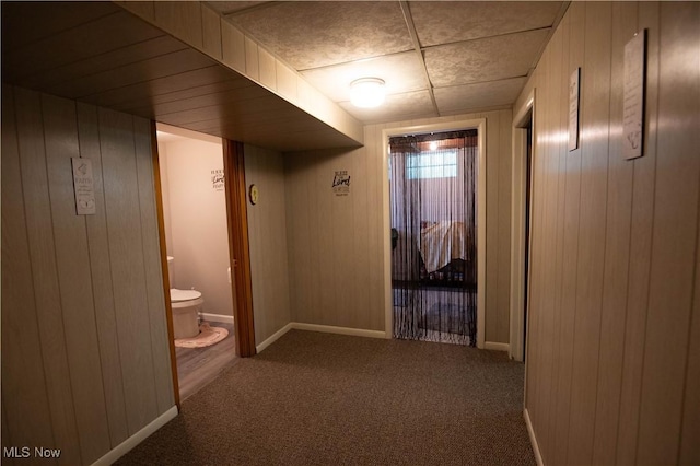 1074 S Meridian Rd, Austintown, OH 44509 - corridor featuring wooden walls and carpet floors
