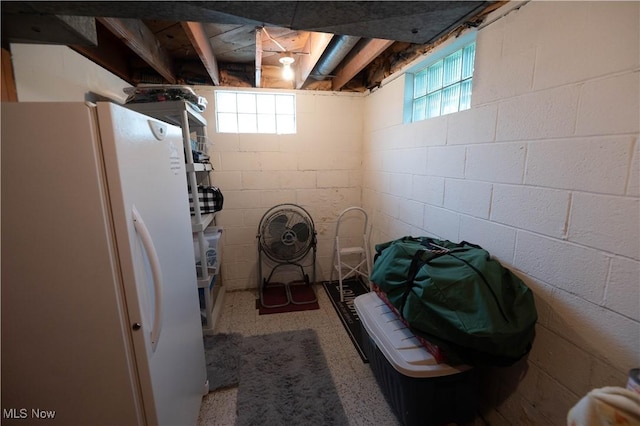 1074 S Meridian Rd, Austintown, OH 44509 - basement with freestanding refrigerator, healthy amount of natural light, and concrete block wall