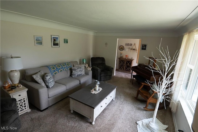 1074 S Meridian Rd, Austintown, OH 44509 - carpeted living area with healthy amount of natural light