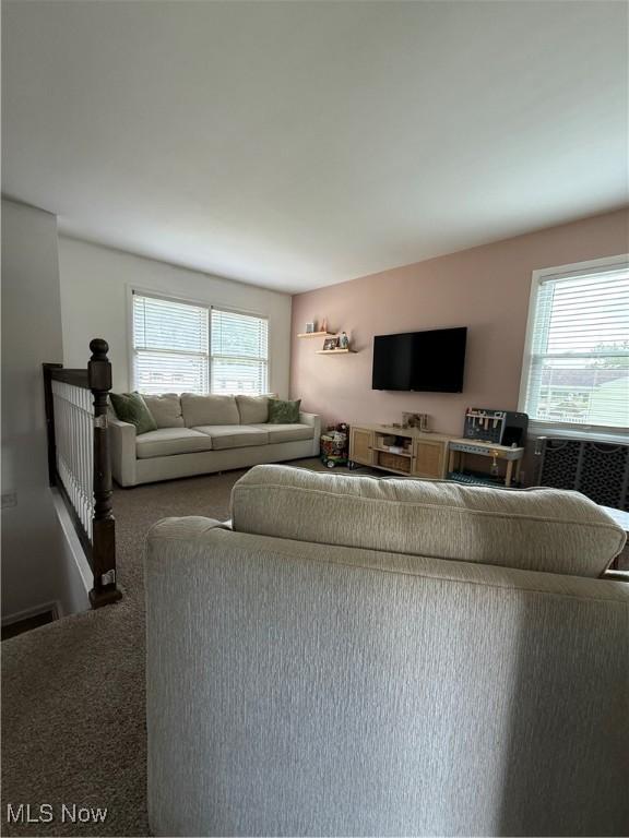 130 Kleber Ave, Austintown, OH 44515 - living area with healthy amount of natural light and carpet floors