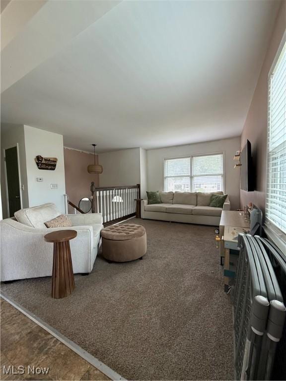130 Kleber Ave, Austintown, OH 44515 - living area featuring carpet