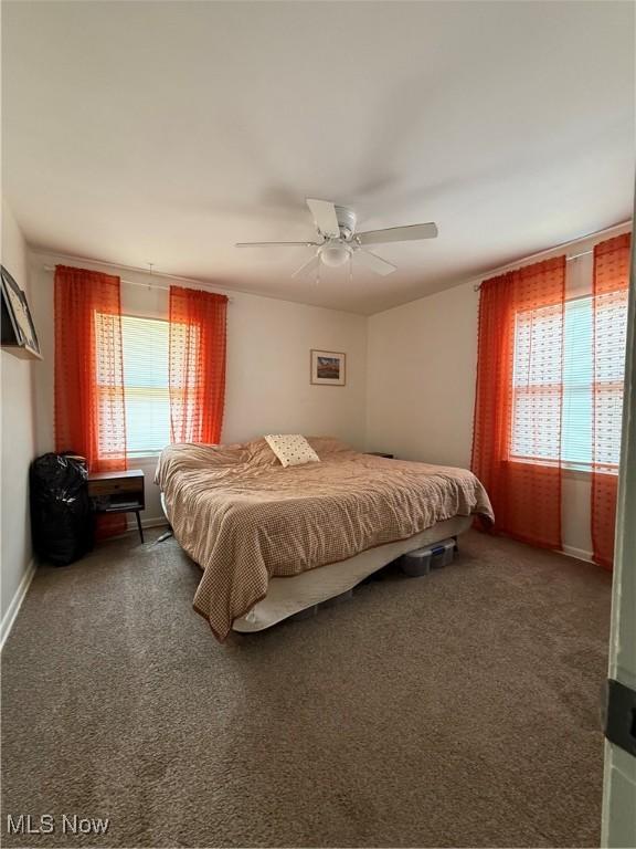 130 Kleber Ave, Austintown, OH 44515 - carpeted bedroom featuring multiple windows and ceiling fan