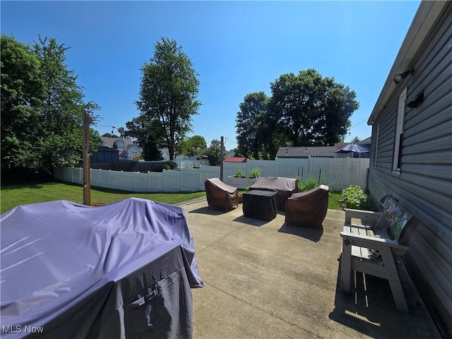119 E 6th St, Williamstown, WV 26187 - fenced backyard with a grill and a patio area