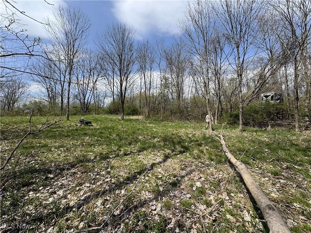 14405 State Route 83, Coshocton, OH 43812