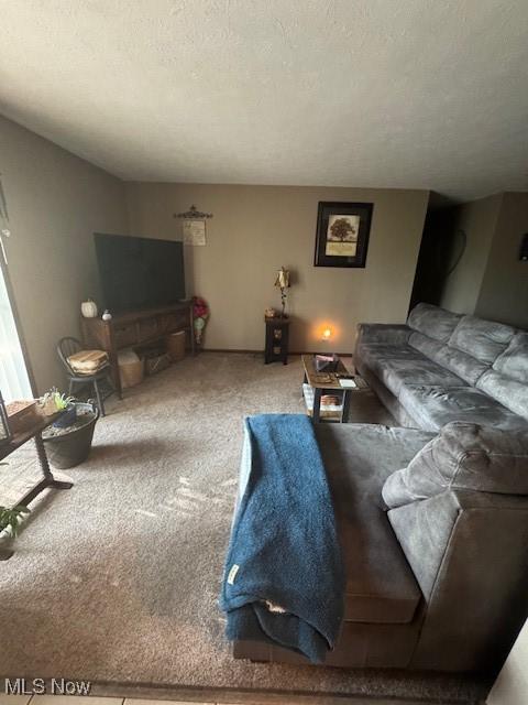 4385 Inner Circle Dr Unit B18, Brunswick, OH 44212 - carpeted living area with a textured ceiling