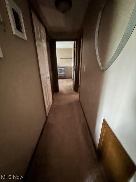 4385 Inner Circle Dr Unit B18, Brunswick, OH 44212 - corridor featuring light colored carpet
