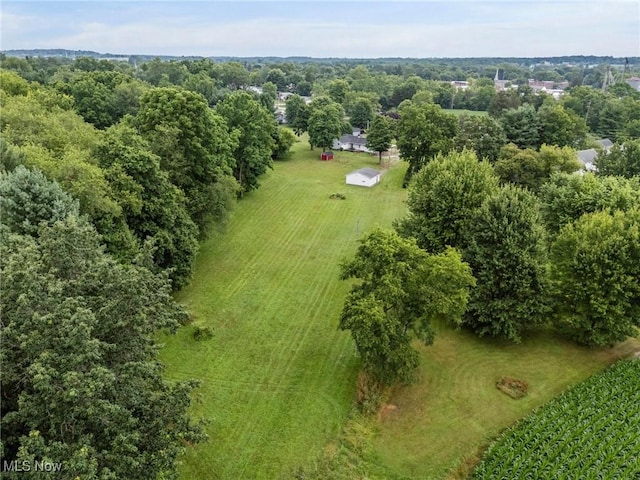 34 Prospect St, Seville, OH 44273 - view of rural area