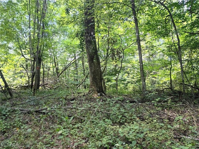 R 9, Arnoldsburg, WV 25234