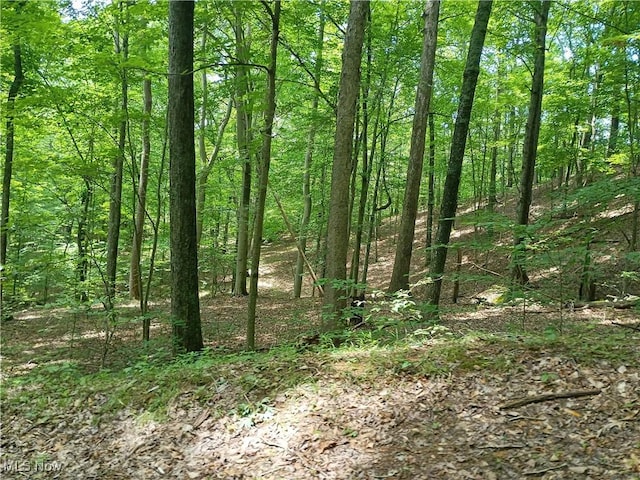 R 9, Arnoldsburg, WV 25234