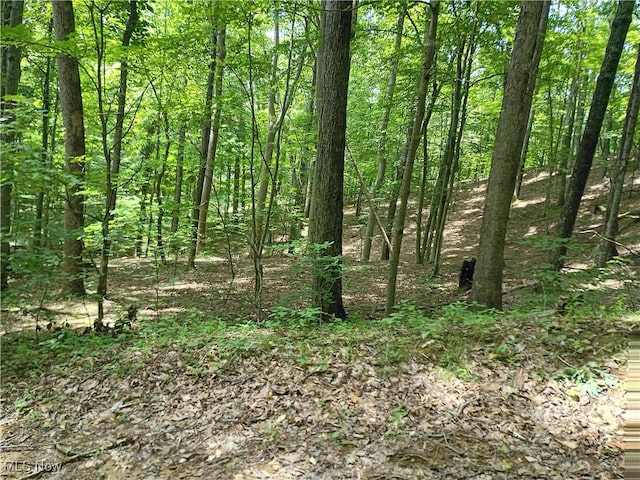 R 9, Arnoldsburg, WV 25234