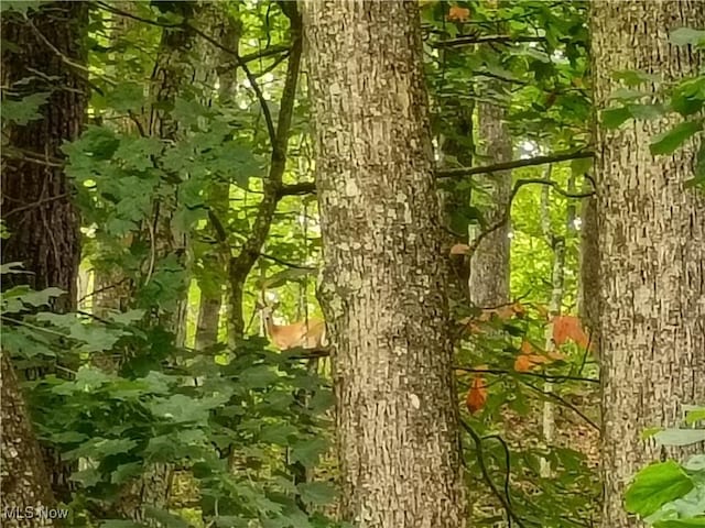 R 9, Arnoldsburg, WV 25234