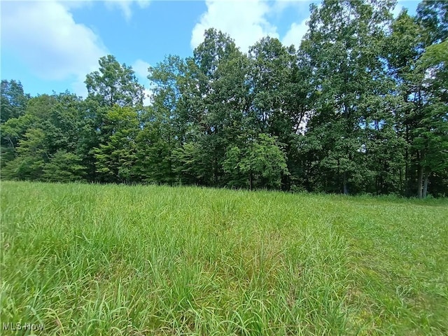 R 9, Arnoldsburg, WV 25234