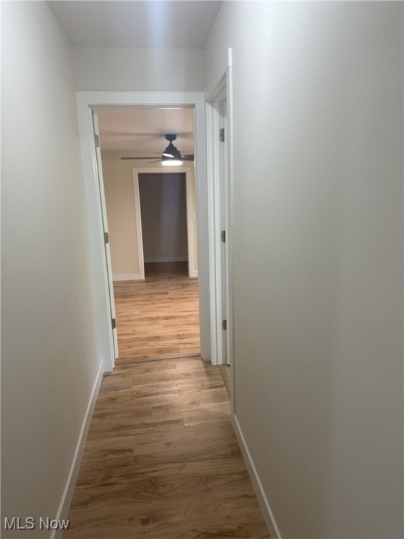 9822 Hooper Rd, Athens, OH 45701 - hall featuring wood finished floors and baseboards