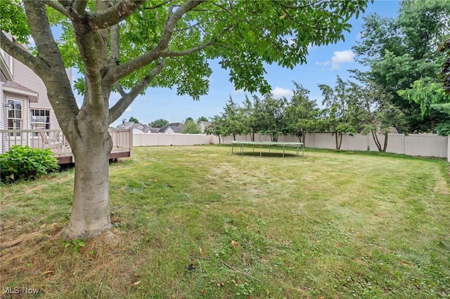1133 S Azalea Blvd, Barberton, OH 44203 - fenced backyard with a trampoline and a deck