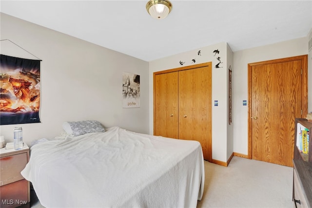 1133 S Azalea Blvd, Barberton, OH 44203 - bedroom with light colored carpet and a closet