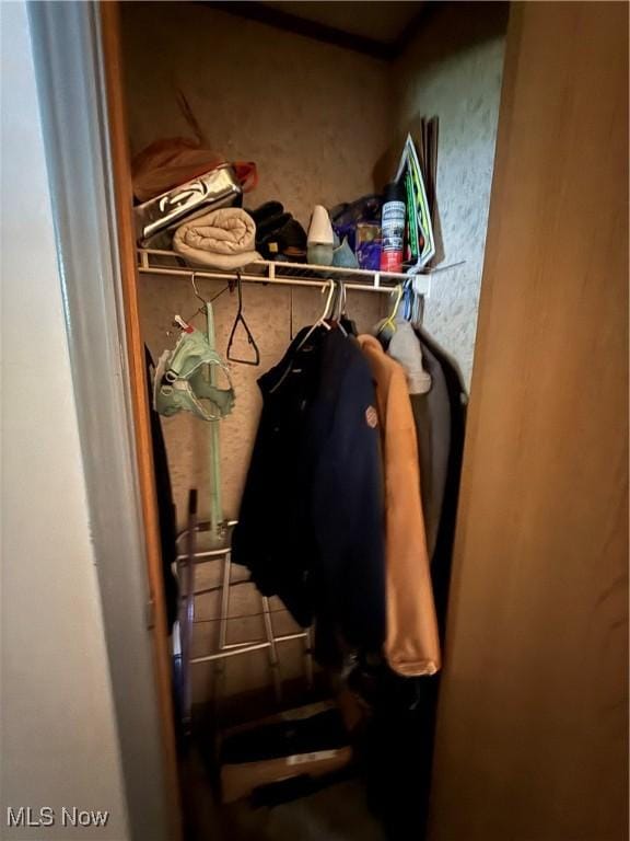 3925 N Ridge E, Ashtabula, OH 44004 - view of closet