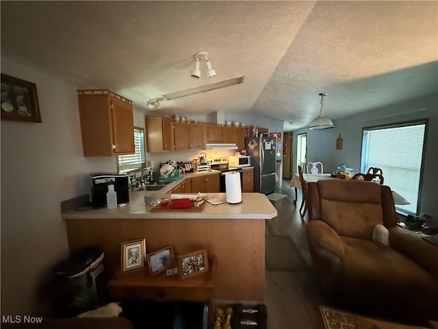 3925 N Ridge E, Ashtabula, OH 44004 - kitchen with appliances with stainless steel finishes, under cabinet range hood, vaulted ceiling, a peninsula, and light countertops