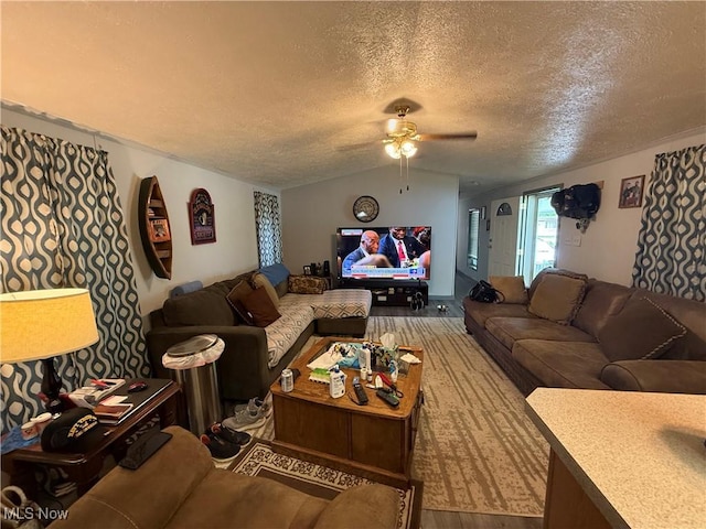 3925 N Ridge E, Ashtabula, OH 44004 - living room featuring a ceiling fan, wood finished floors, a textured ceiling, and lofted ceiling