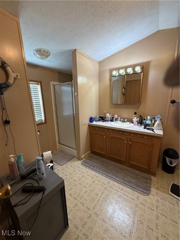 3925 N Ridge E, Ashtabula, OH 44004 - full bath with a shower stall, vanity, a textured ceiling, and vaulted ceiling