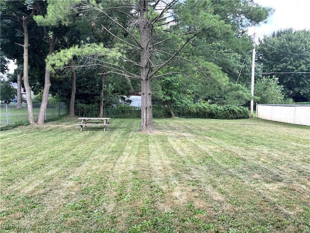 79 Woodview Ave, Youngstown, OH 44512 - photo 5