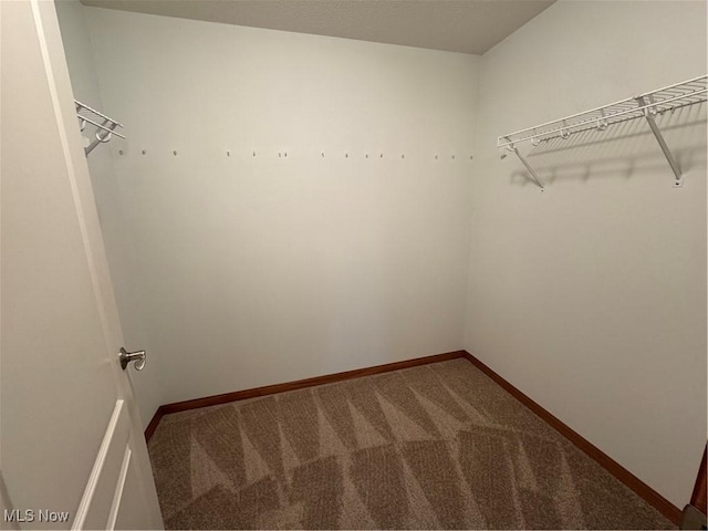 1204 Saint Abigail St SW, Hartville, OH 44632 - spacious closet featuring carpet