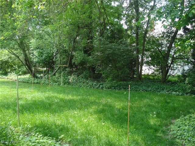2466 N Taylor Rd, Cleveland Heights, OH 44118 - photo 25