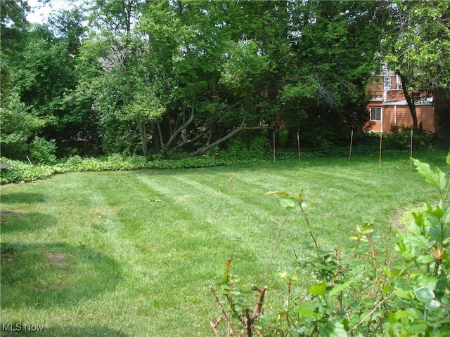 2466 N Taylor Rd, Cleveland Heights, OH 44118 - photo 20