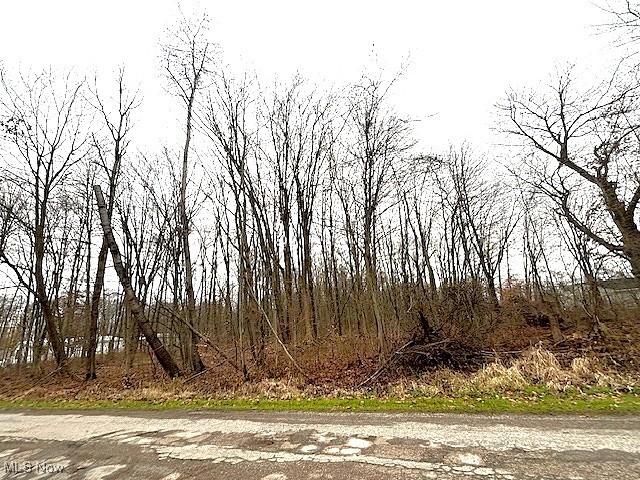 1250 Way Rd, Rome, OH 44085 - photo 3