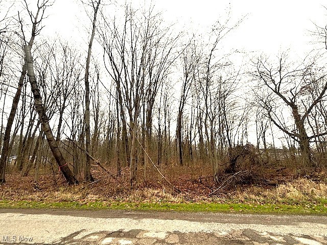 1250 Way Rd, Rome, OH 44085 - photo 4